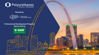 2025 CPI Professional Development Program - VIRTUAL SESSIONS